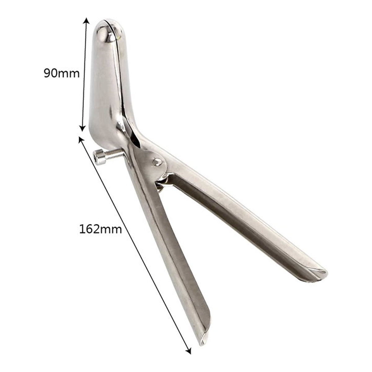 Zijwaardse Speculum RVS
