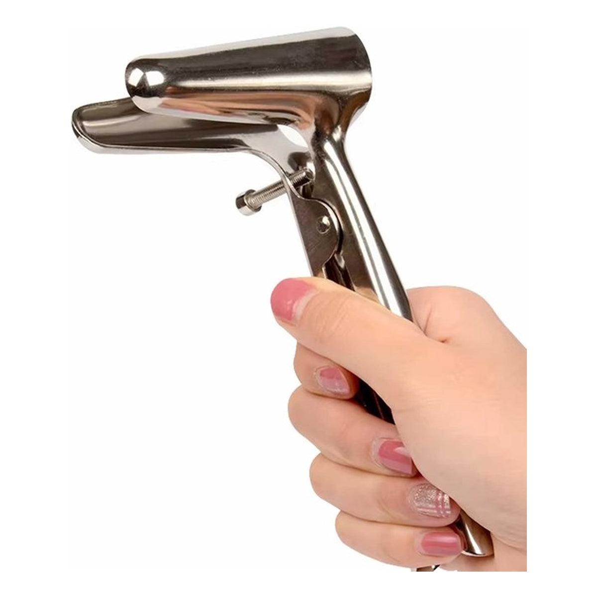 Zijwaardse Speculum RVS