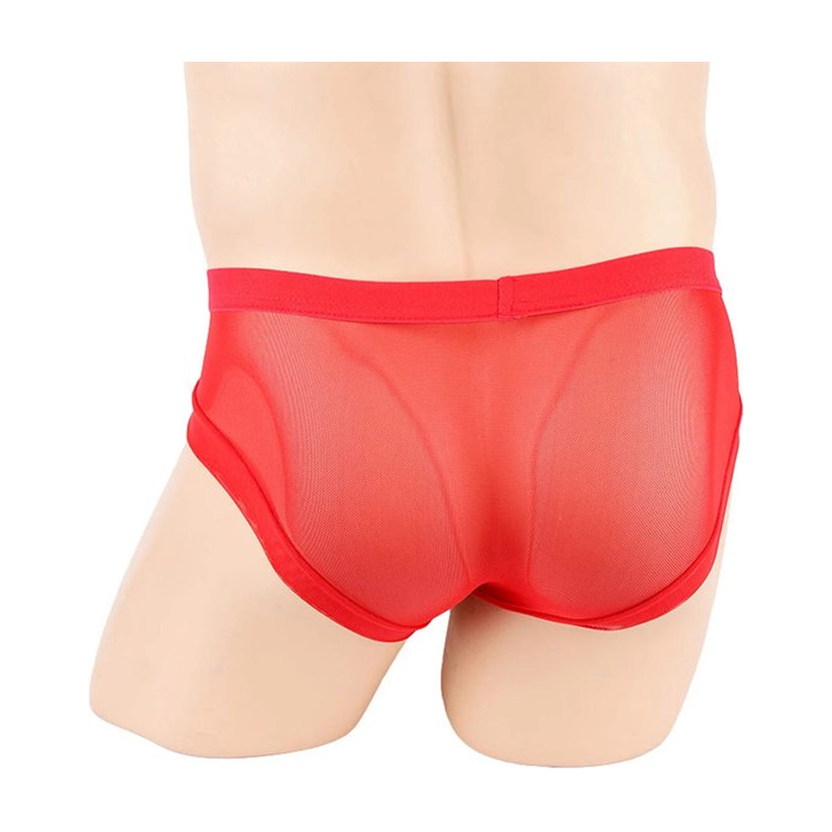 Transparante Slip met Slurf