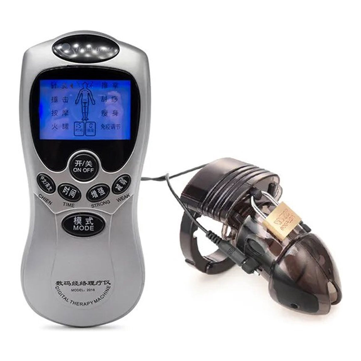 Electroshock Kuisheidskooi