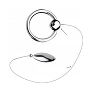 RVS Penisplug met Penisring