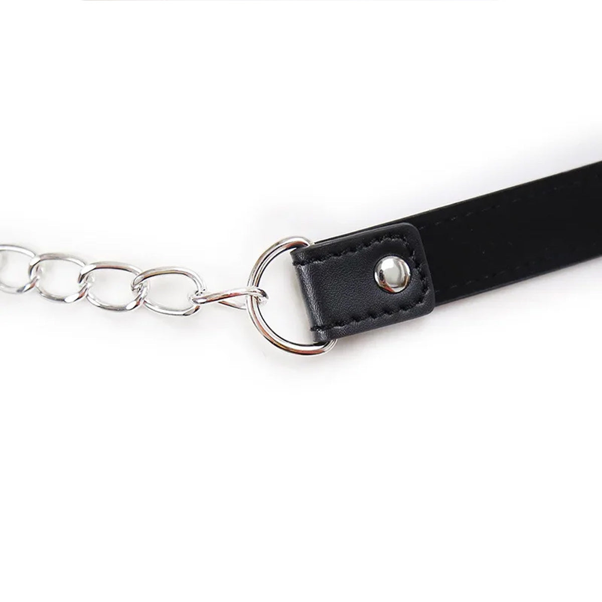 Kuisheidsonderbroek met Sloten en Slurf