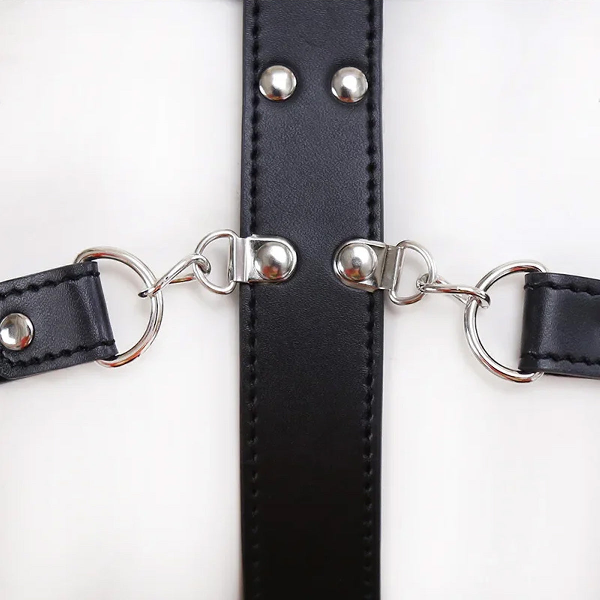 Kuisheidsonderbroek met Sloten en Slurf