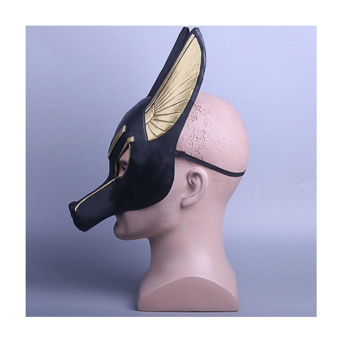 Egyptische Hond Masker