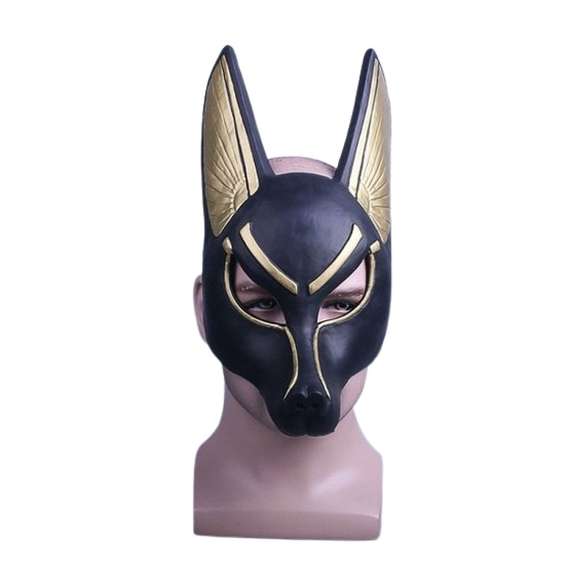 Egyptische Hond Masker