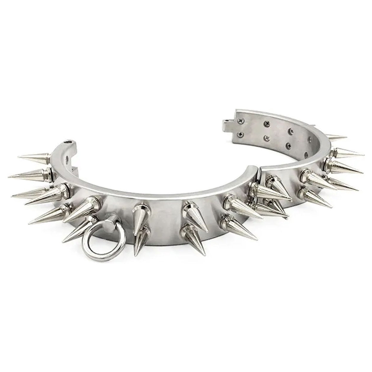 RVS Halsband met Spikes