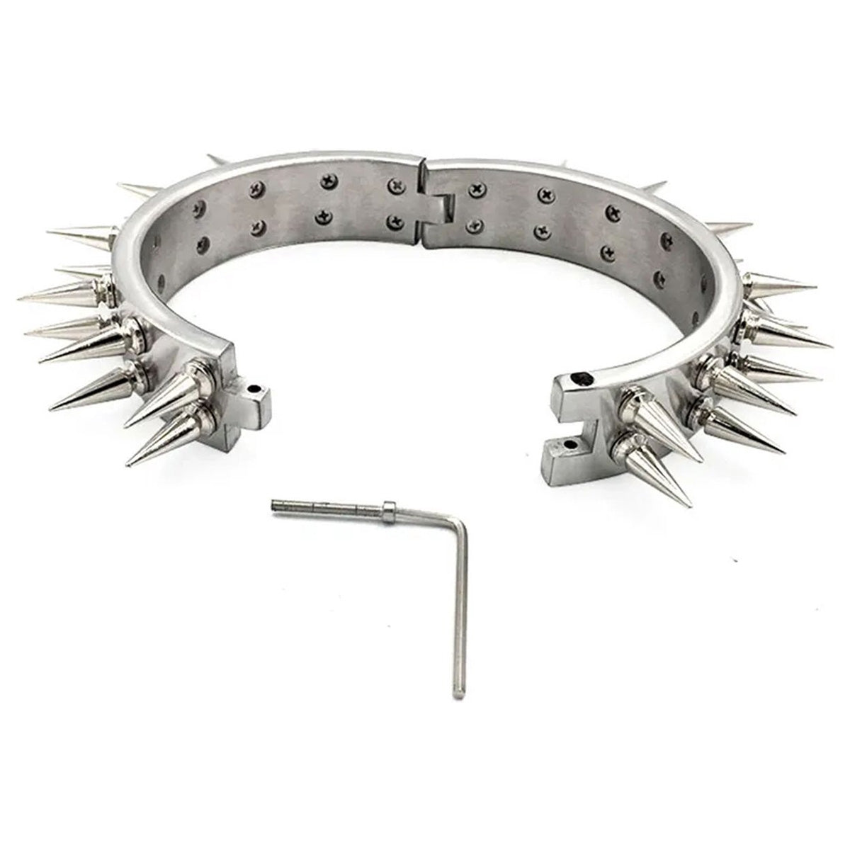 RVS Halsband met Spikes