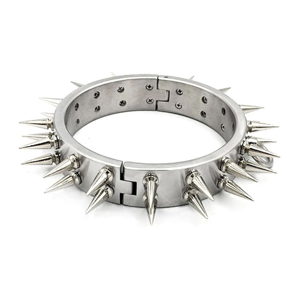 RVS Halsband met Spikes