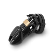 Kuisheidskooi met slot