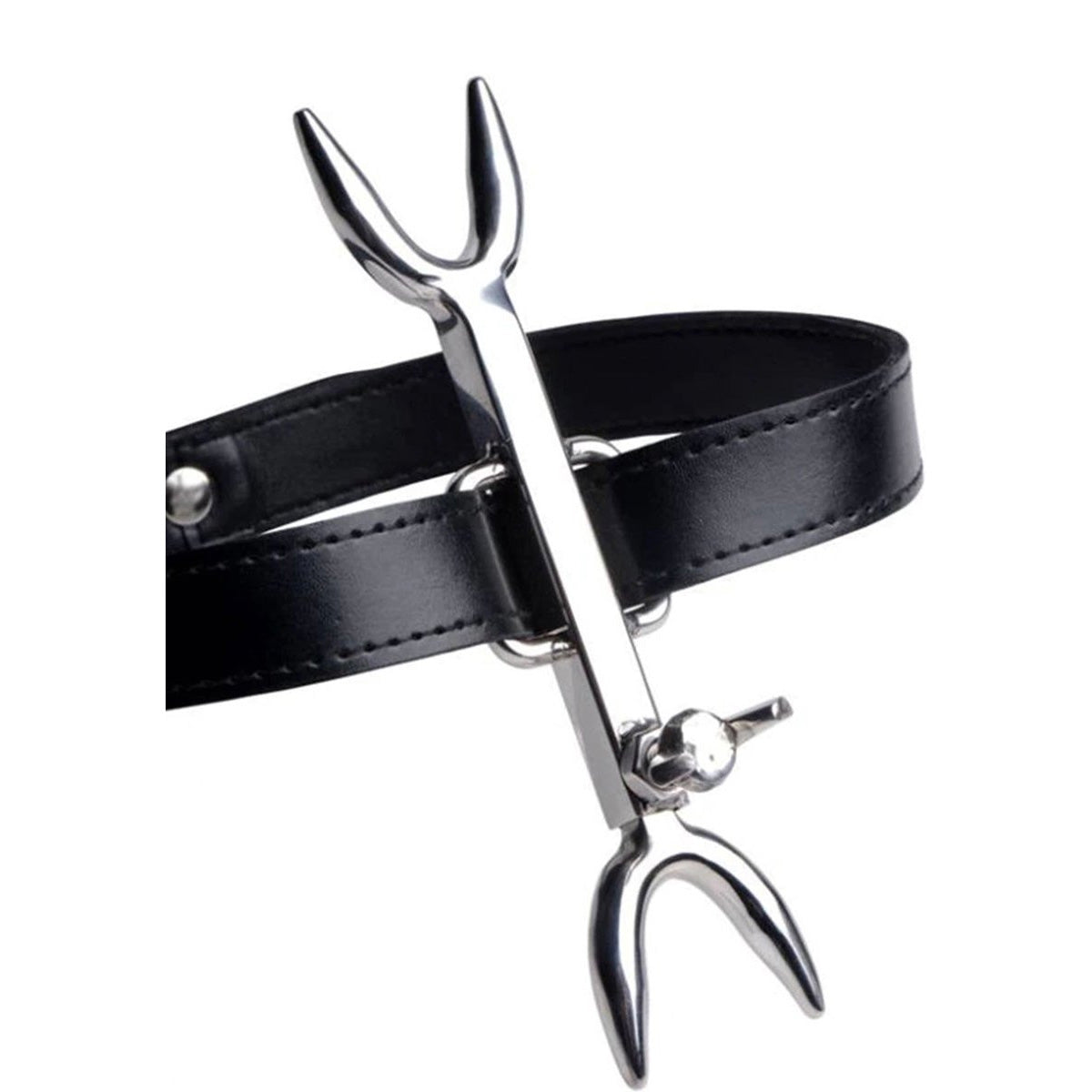 Extreme Halsband Met Scherpe Pinnen