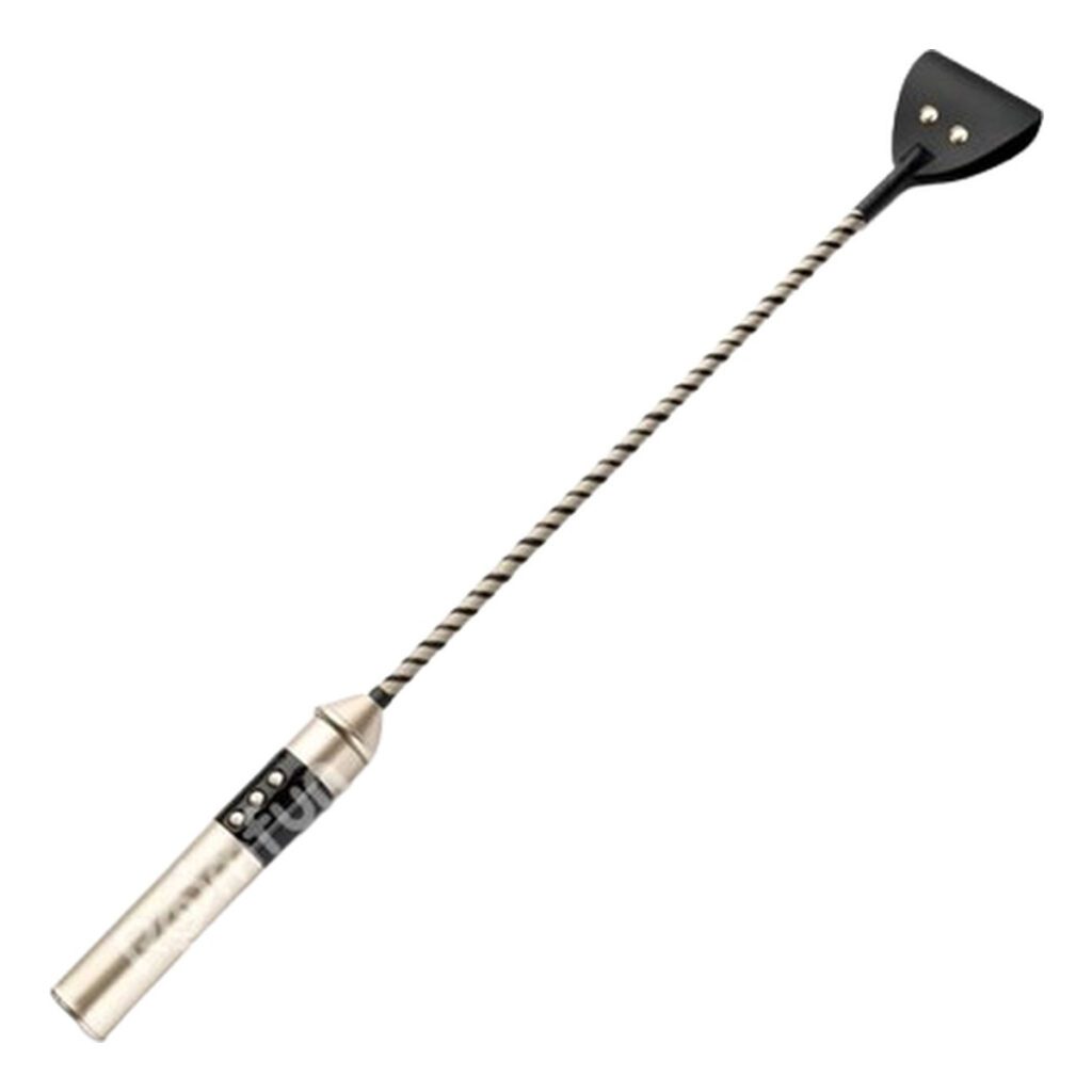 zweep, elektrisch, SM, BDSM, leer, schok, luxe, USB, oplaadbaar, accessoire