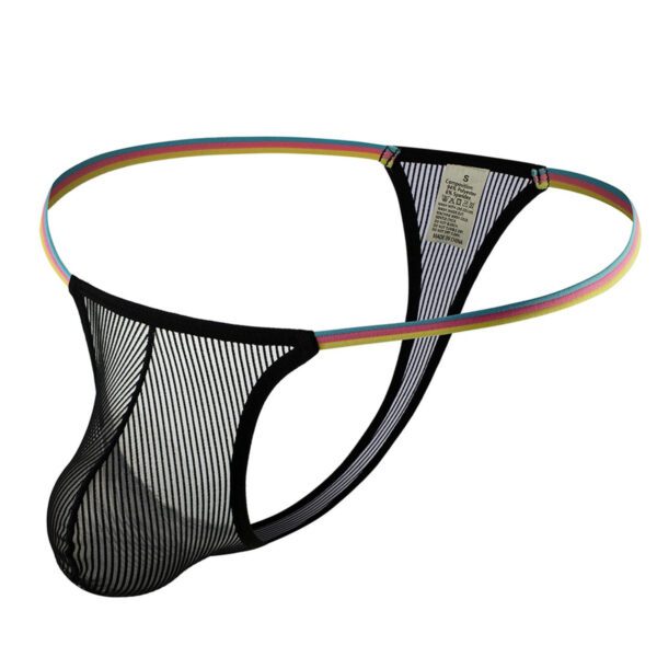 regenboog, Rainbow G‑string, heren string, regenboog band, doorzichtige G‑string, erotische onderbroek, sexy uitstraling, lingerie voor hem, S t/m XXL, hoge kwaliteit, merkloos
